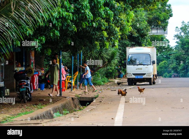 Netherlands - chicken road nederland