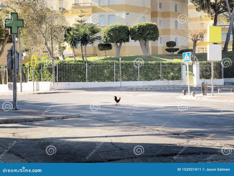 Chicken road game - Descubre el Encanto del Juego Chicken Road en el Casino Online de España